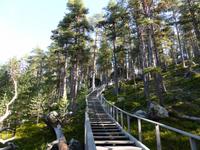 Bei der Bärenhöhle
