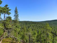 Bei der Bärenhöhle