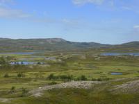 In der Finnmark-Vidda