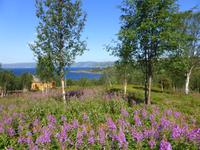 Im Hjemmeluft-Museum in Alta