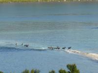Stopp bei den Sami am Altafjord/ Langfjord