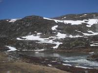 Unterwegs mit der Bergenbahn