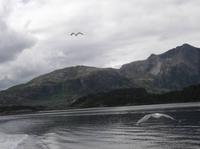 Landschaftsimpressionen