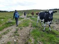 Wanderung zum Synesvarden