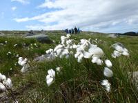 Wanderung zum Synesvarden