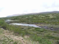 Fahrt über das Dovrefjell