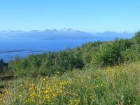 Ausblick von Moldes Stadtberg Varden (Romsdaler Alpen)
