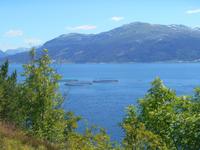 Lachsfarm im Hardangerfjord