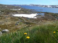 Hardangervidda