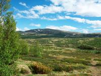 Im Dovrefjell