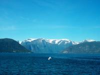 Sognefjord