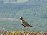Wanderung zum Storheia