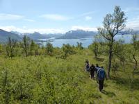Wanderung am Moysalen-Nationalpark