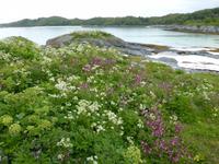 Bootsfahrt mit dem RIB-Schlauchboot
