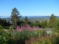 Ausblick vom Rica Holmenkollen Park Hotel in Oslo