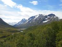 Sognefjell-Strasse (Blick ins Leirdalen)