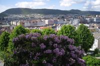 Ausblick vom Fløyen auf Bergen