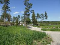 Grillen an der Lachstreppe des Umeälf 