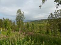 Führung mit Katharina im Hjemmeluft-Museum in Alta