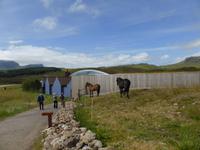 im Wikingermuseum in Borg