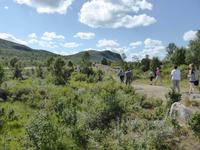 Halt am Königsweg/ Dovregubbens Hall