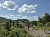 Halt am Königsweg/ Dovregubbens Hall