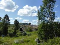 Halt am Königsweg/ Dovregubbens Hall