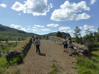 Halt am Königsweg/ Dovregubbens Hall