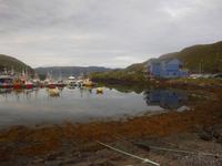 Fischerdorf Kamøyvaer nahe dem Nordkap