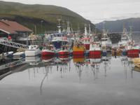 Hafenszene kurz vor dem Nordkap