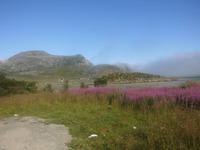 Morgenstimmung auf den Lofoten