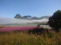 Morgenstimmung auf den Lofoten