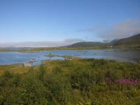 Blick über die Lofoten