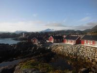 unsere Rorbuer-Siedlung