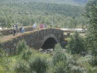historische Brücke am Königsweg auf dem Dovrefjell