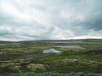 Auf der Hardangervidda