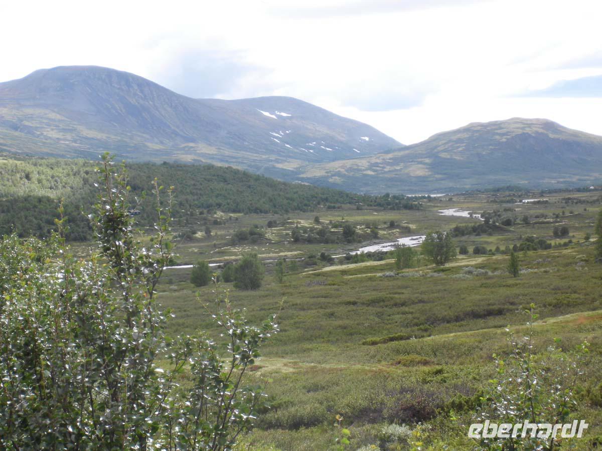 Das Dovrefjell