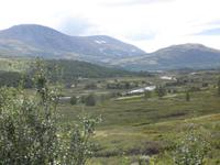 Das Dovrefjell