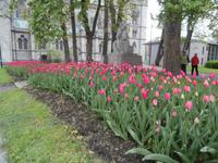 im Nidaros Dom Trondheim