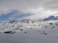 Fahrt übers Sognefjell