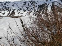 Sognefjell im Juni 2015