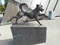 Hund am Hollmenkollen