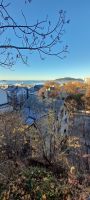 Alesund