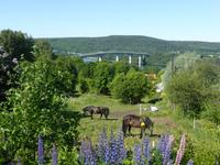Alnön - Brücke