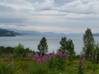 Alta - Altafjord