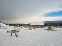 Alta - Sami Siida