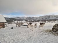 Alta - Sami Siida