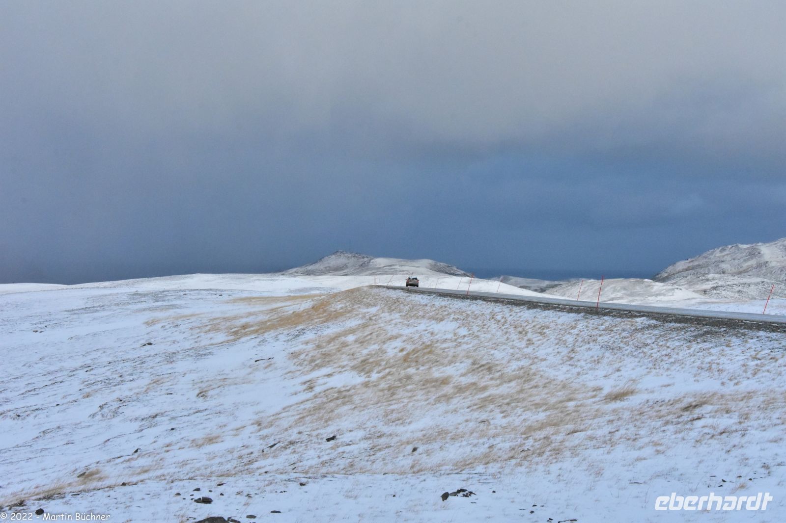 Arktische Tundra