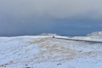 Arktische Tundra