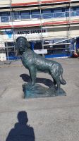 Armeehund Bamse in Honningsvag